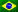 Português BR flag